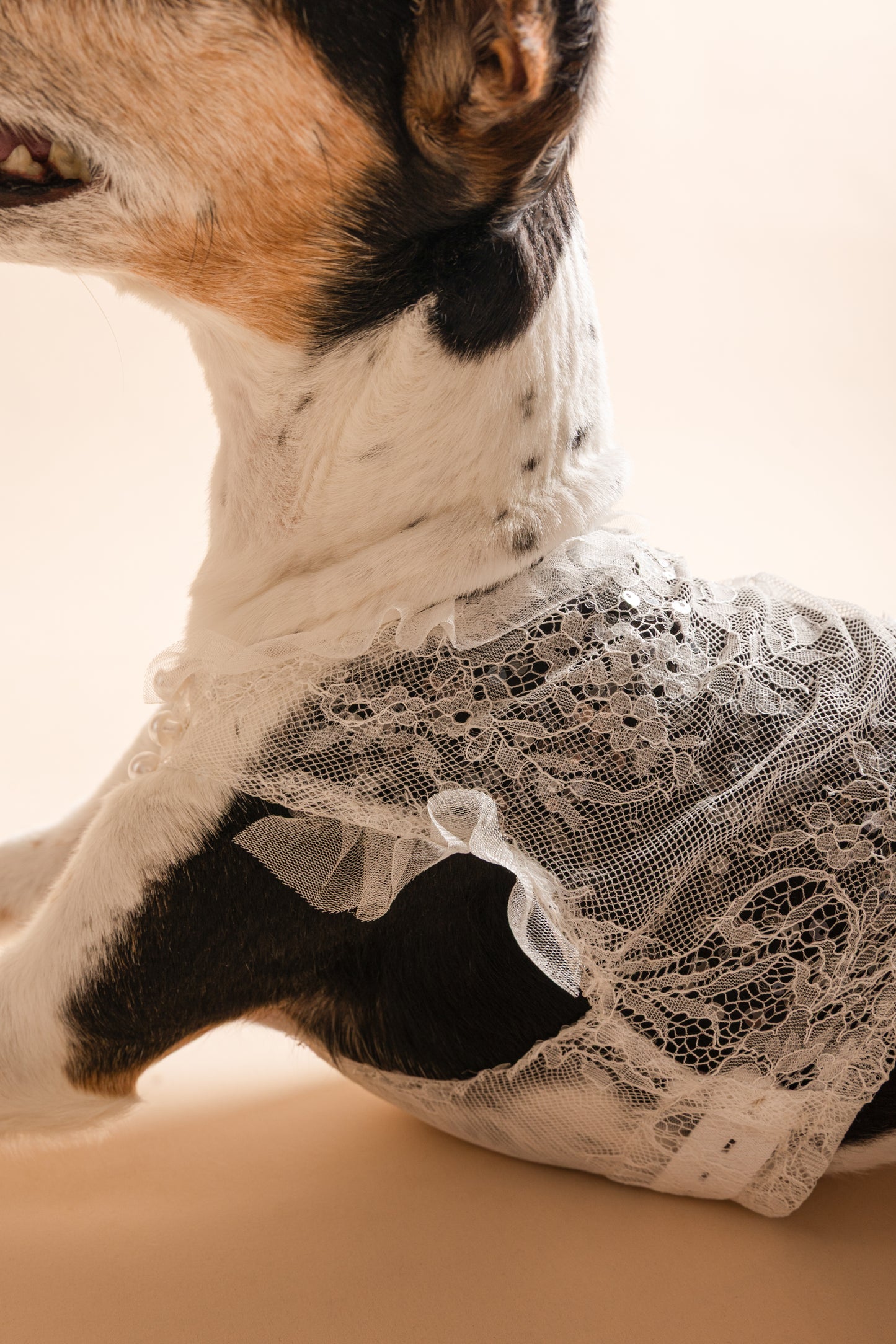 Tutu
